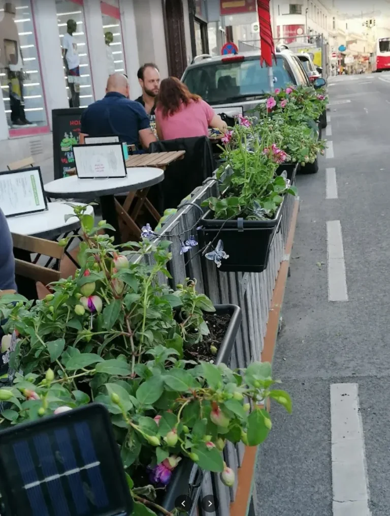 Garden terrace with plants
